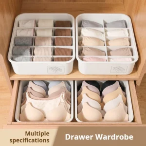 cn-11134207-820l4-mrfqxhaex0r0cc.webp Underwear Panties Socks Three in One Storage Box Dormitory Household Drawer Intimate Clothing Compartment Handy Tool Organiz